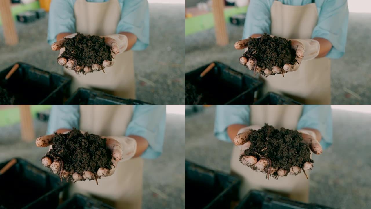 养殖蚯蚓的农民。拿着满是虫子的泥土。