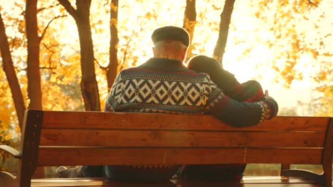 没有脸背射。高级夫妇在公园享受日落，坐在阳光下的长凳上。秋叶颜色。大自然的美
