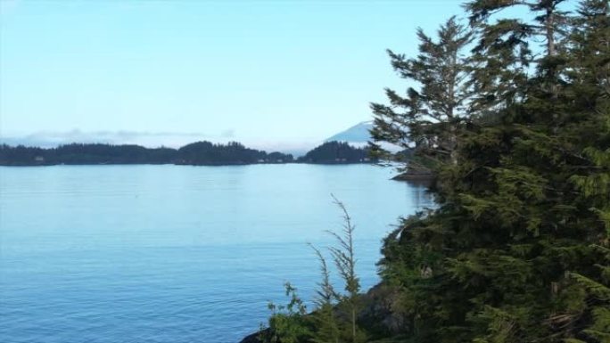 空中无人机拍摄了远处有火山的森林海岸线