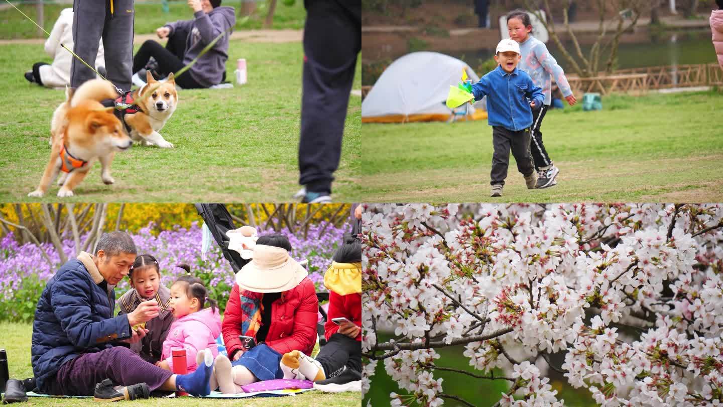 孩子 春游 踏青 野餐 郊游 亲子 陪伴