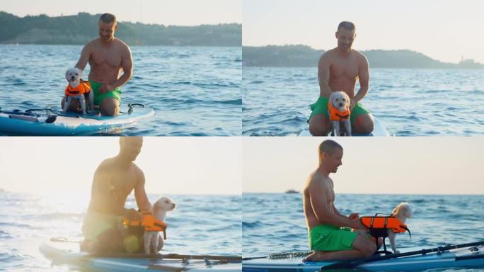 SLO MO Man坐在海上桨板上抚摸他的小狗