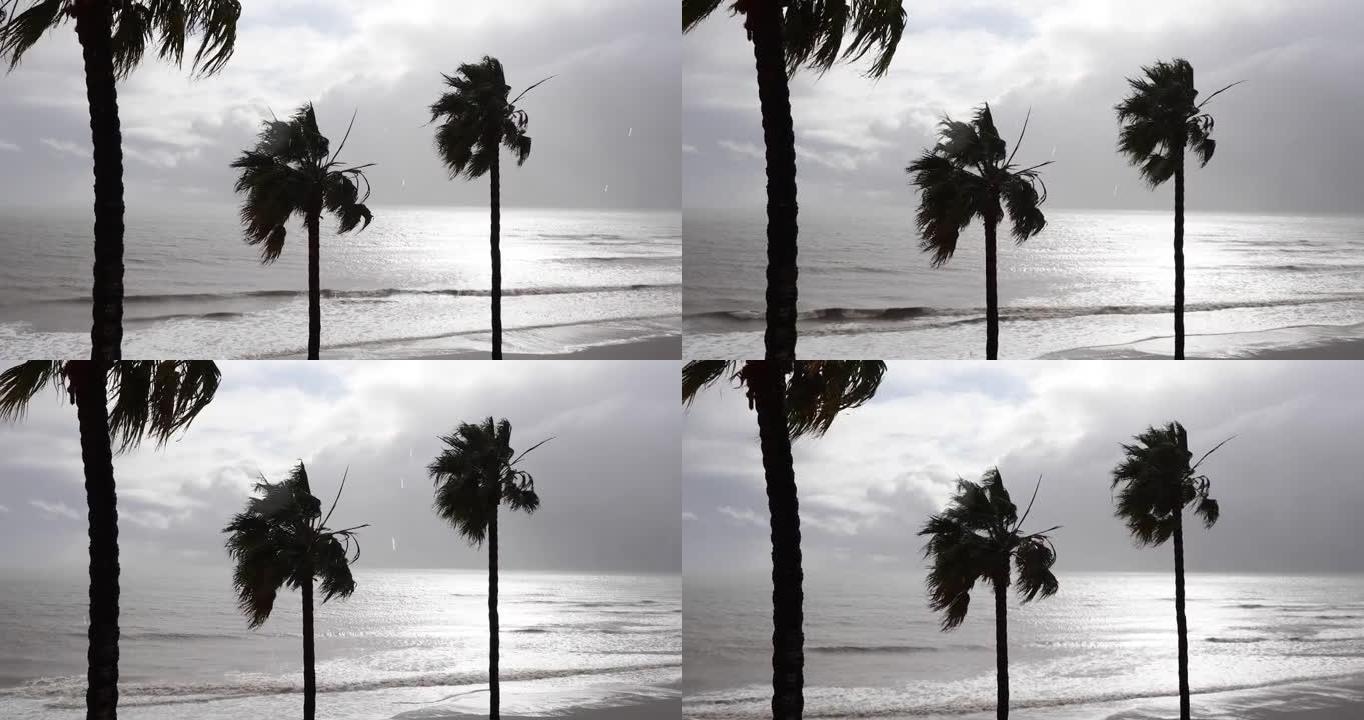 暴风雨日的海浪景观