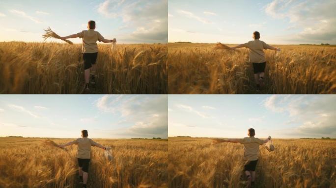 little boy is running on golden rye field, carryin