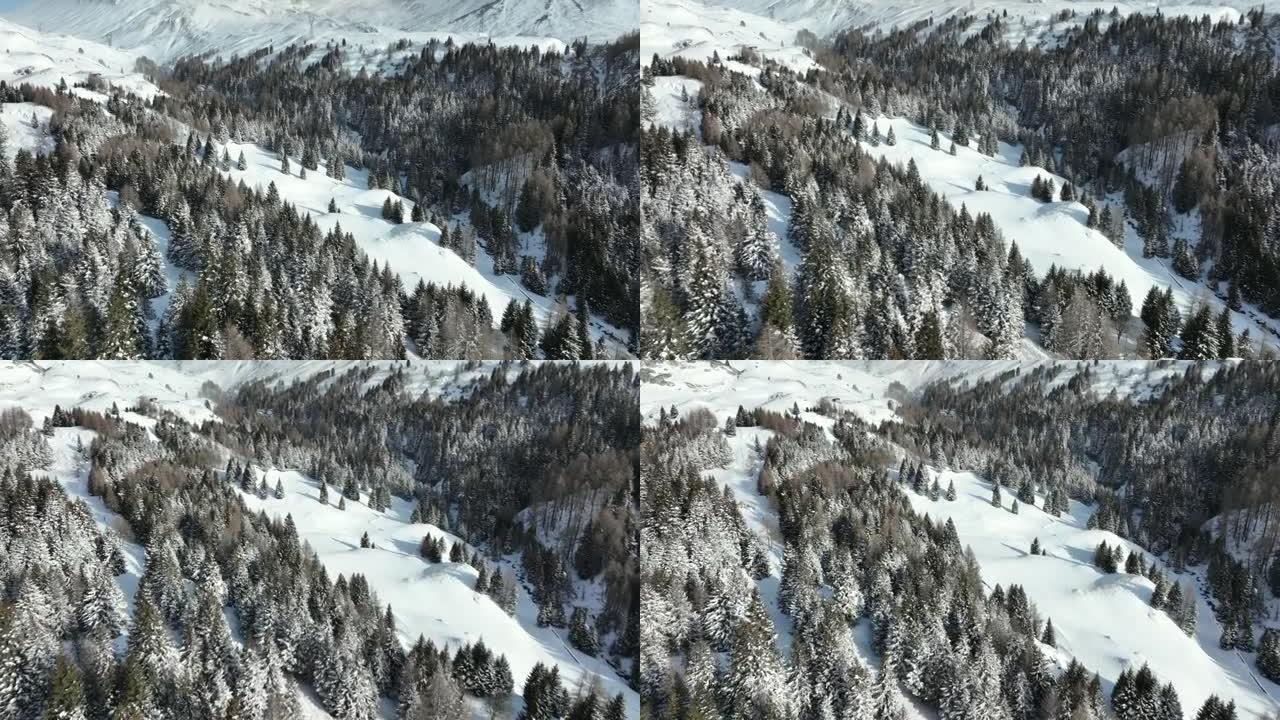 飞越白雪覆盖的森林，在白雪覆盖的高山山脉下