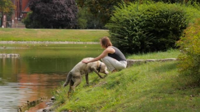 年轻女子试图从城市公园湖中的绿色脏水中拉出她的白色大皮毛狗