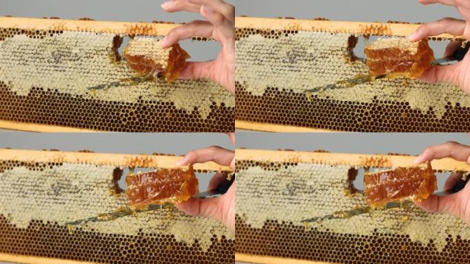 从桌子上的木制框架中的开放式蜂窝中切割蜂蜜