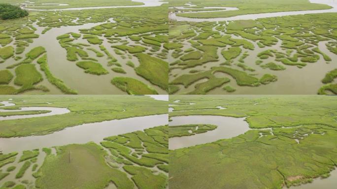 乔治亚大约2019年。格鲁吉亚湿地抽象模式的鸟瞰图。用Cineflex万向节和红色8k摄像机从直升机