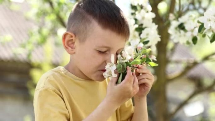 小男孩闻到了盛开的苹果树枝。靠近美丽开花树的孩子。春天的花园。