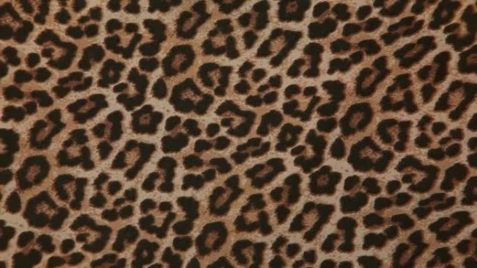 豹纹纺织品背景的镜头