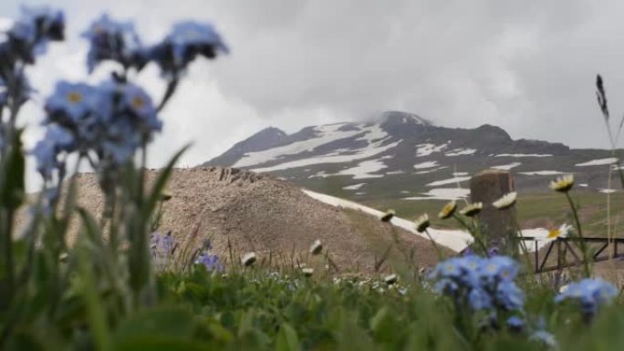 山峰上有雪，山坡和山上长着山花和草。自然夏天美丽的风景。