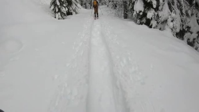 在白雪皑皑的森林中滑雪时的第一人称视角