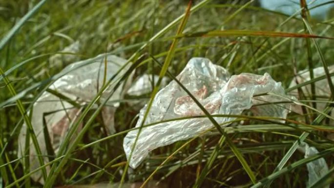 SLO MO脏塑料袋在高高的草丛中随风移动