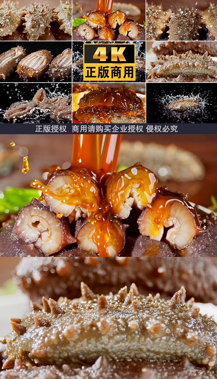 海鲜海参美食大连海鲜广告美食展示辽参海鲜