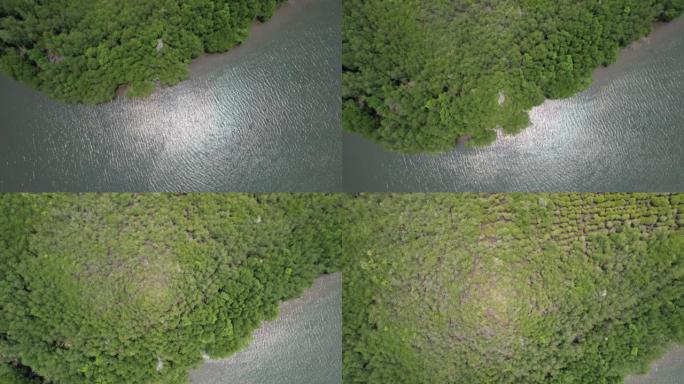 从泰国的Chanthaburi无人机上鸟瞰红树林