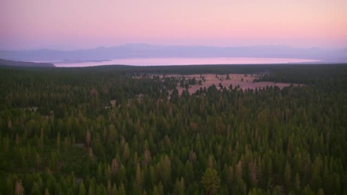 在inyo国家森林的树木上方空中，可以看到加利福尼亚的Mono湖