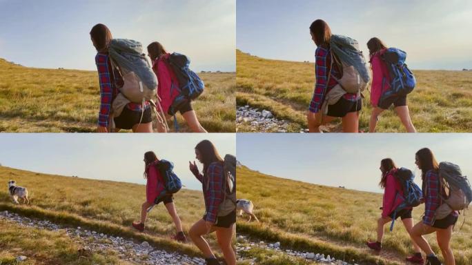 TS两个女性朋友在阳光明媚的日子里带着他们的狗爬山