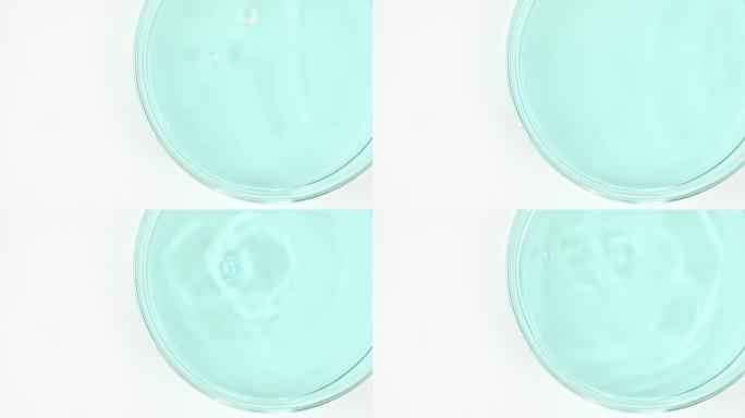 透明蓝色化妆液缓慢滴入玻璃培养皿。化学实验室研究。天然有机化妆品、药物的宏观拍摄。生产特写。
