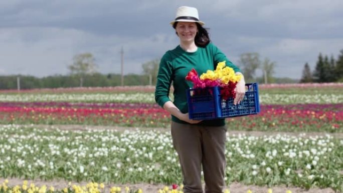 肖像快乐女农夫拿着篮子盒子新鲜采摘郁金香花卉农场