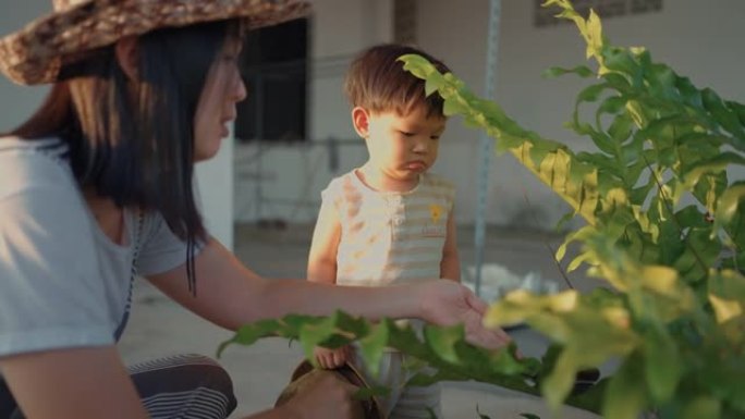 可持续生活方式: 园艺