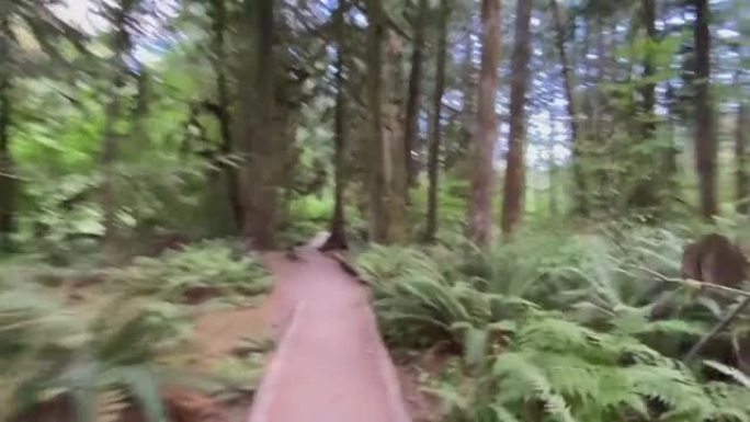 在森林中沿着小路奔跑的越野跑者的第一人称视角