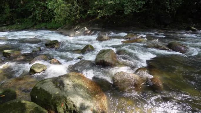 溪流流经森林中的岩石