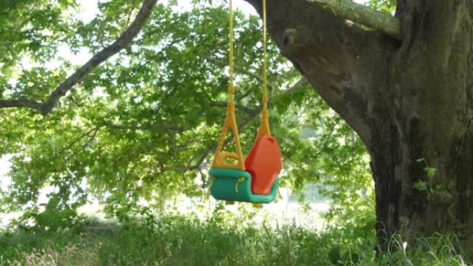 在阳光明媚的夏日，公园的树上挂着空的户外婴儿秋千。