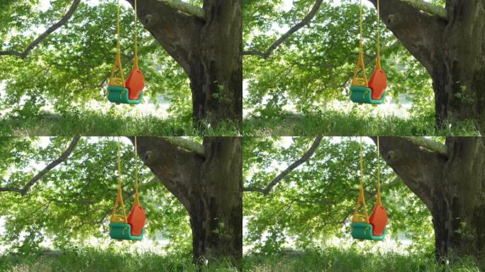 在阳光明媚的夏日，公园的树上挂着空的户外婴儿秋千。