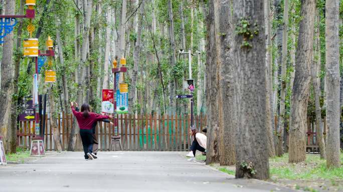 曲水县动物园 拉萨氧吧 拉萨曲水森林氧吧