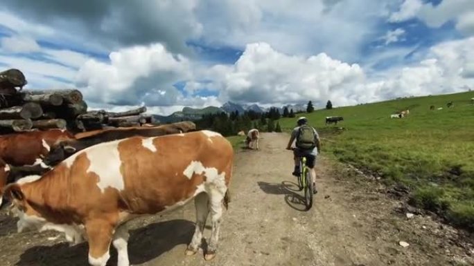 多洛米蒂的手机视频报道: 户外山地自行车