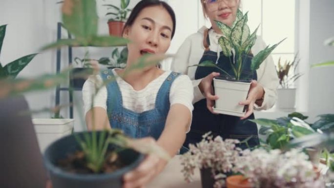 年轻的亚洲女性使用笔记本电脑接收采购订单，并在早上在树木商店通过相机在线展示植物录制视频。