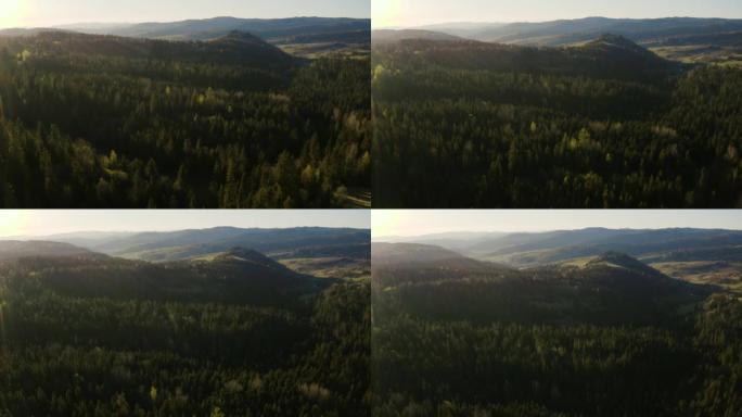 无人机在黄昏景观中看到松树林与山脉