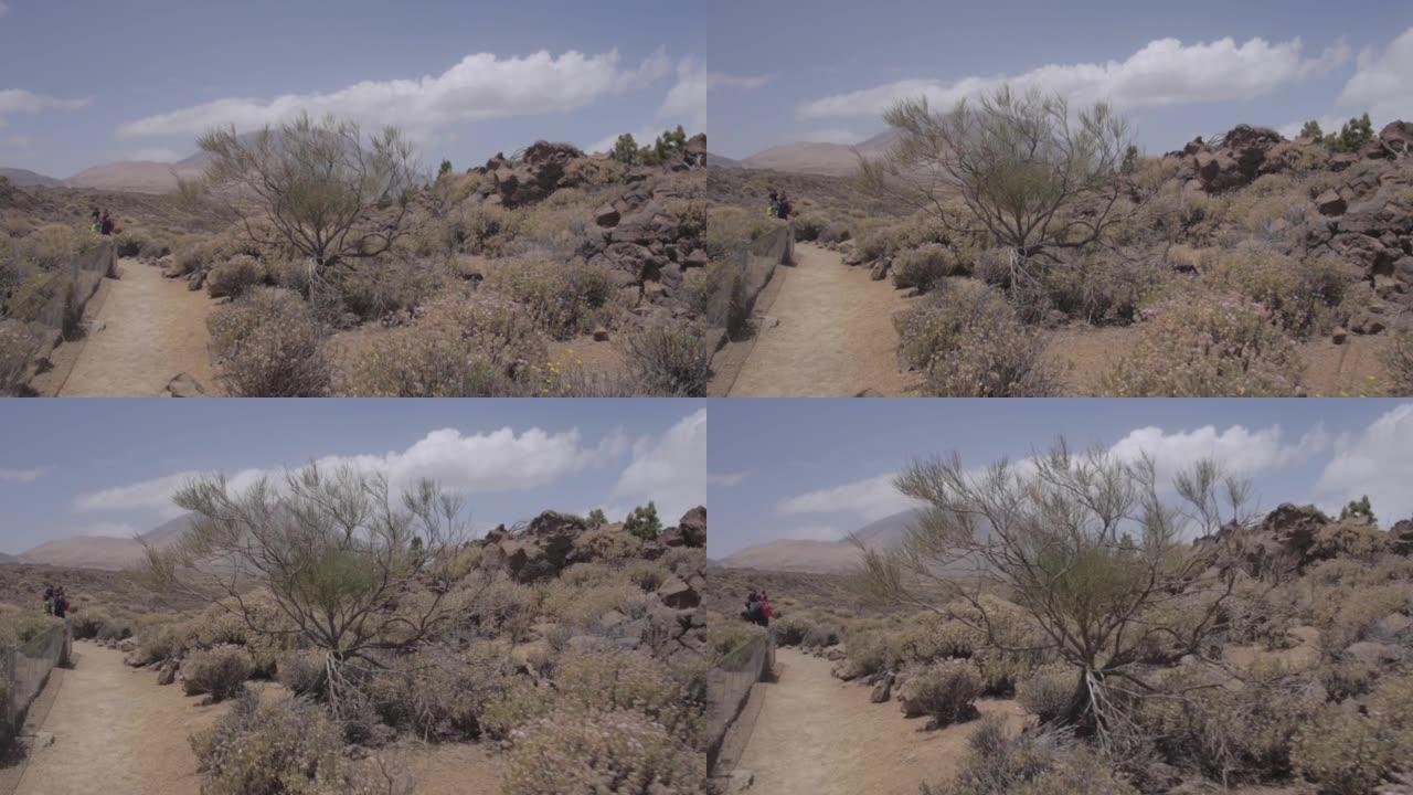 徒步旅行者穿越沙漠的第一人称视角