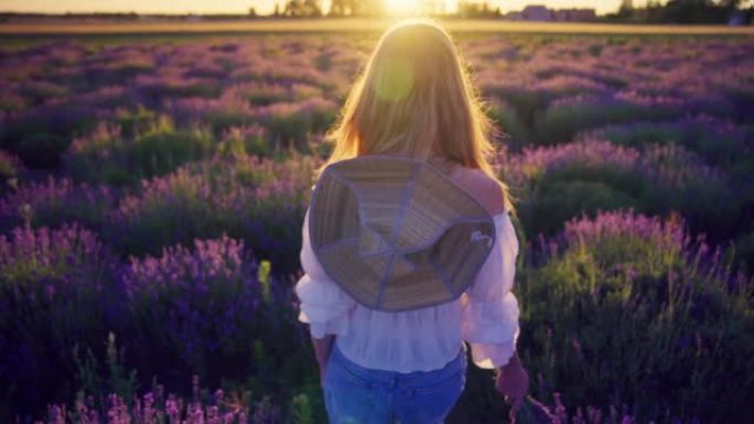 享受大自然。欣赏薰衣草田上日落的女人。紫色花朵的轮廓
