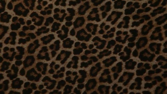 豹纹纺织品背景的镜头