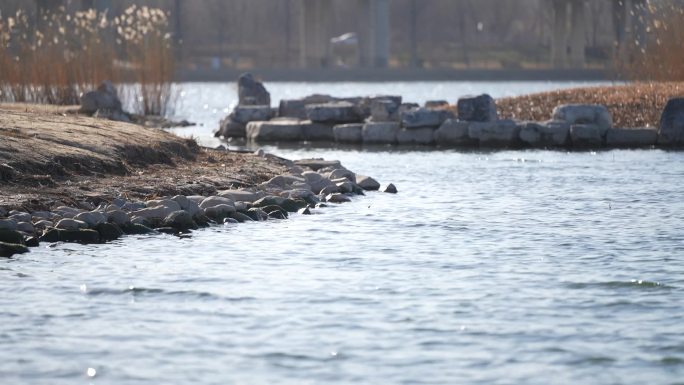 秋天的湖面