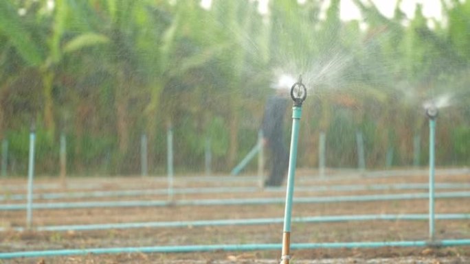 农业灌溉系统浇水农业灌溉系统