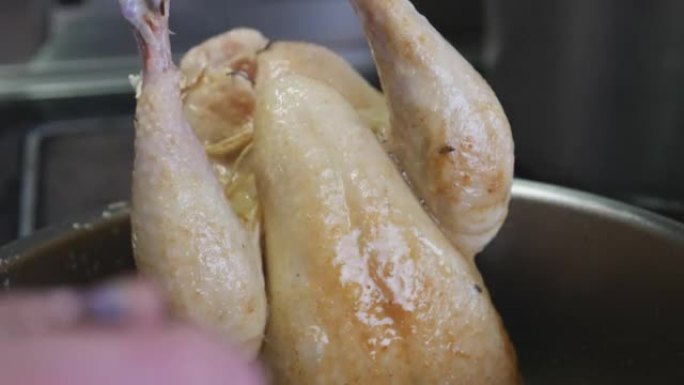 厨师在大锅中准备一只小鸡的详细照片