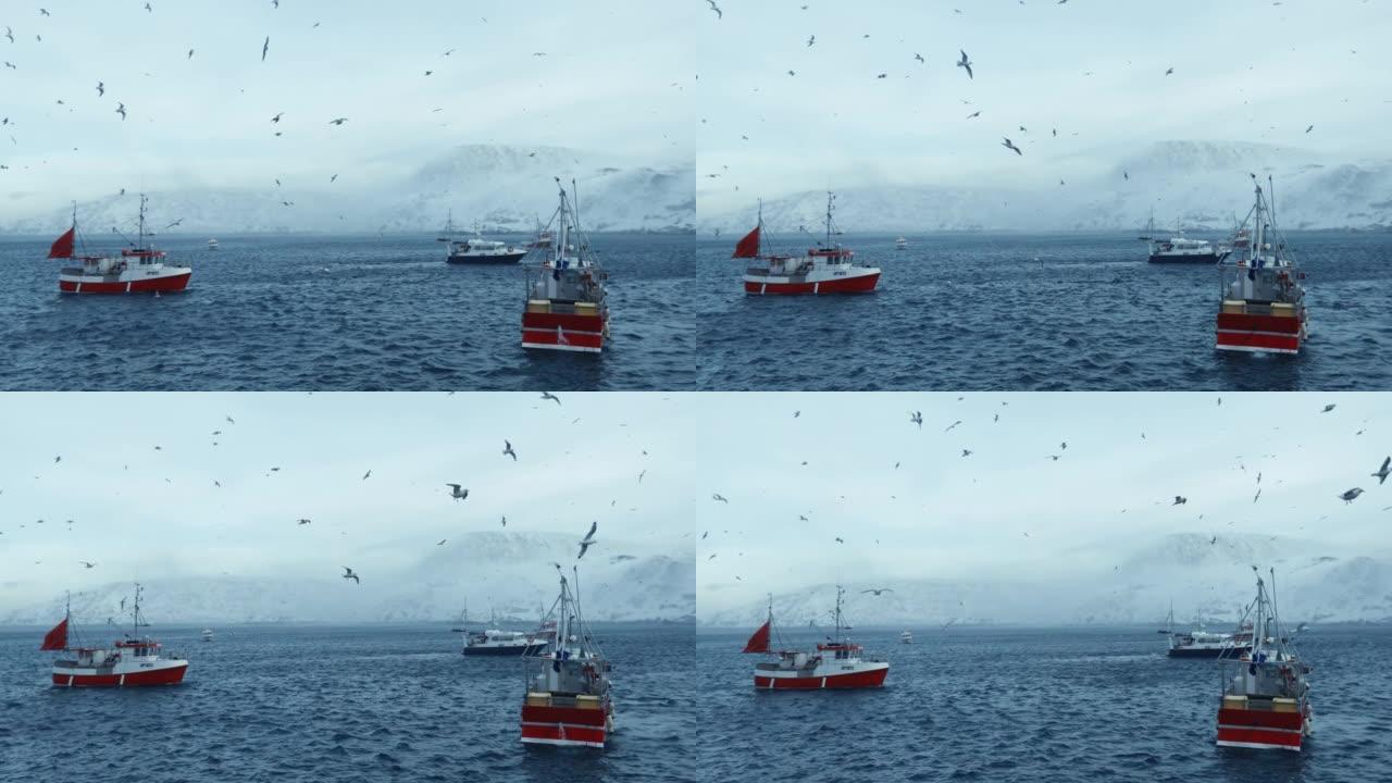 渔民在北极海捕捞skrei鳕鱼