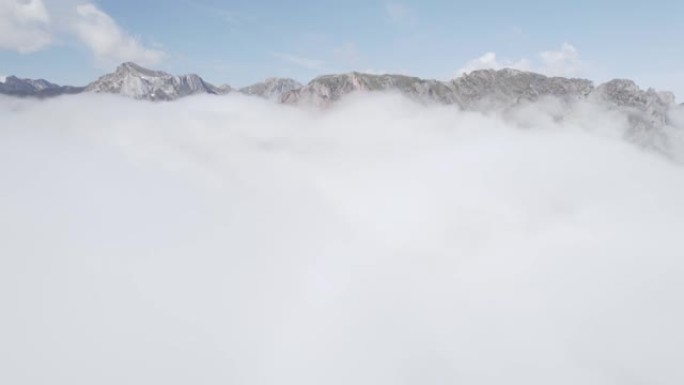 空中无人机拍摄了茂密的树叶和低云覆盖的山脉