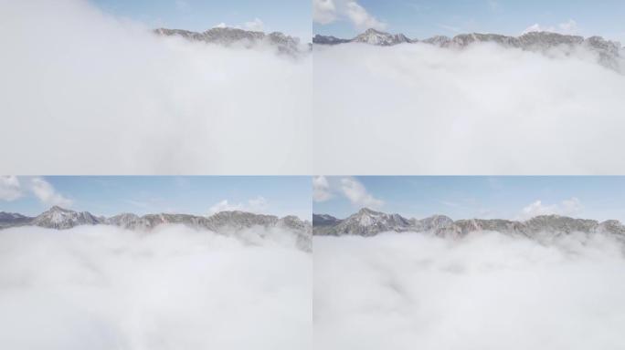 空中无人机拍摄了茂密的树叶和低云覆盖的山脉