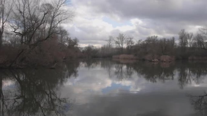 阴天看到有枯树的小湖