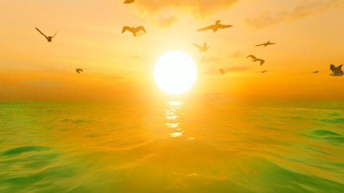 海鸥在清晨大海自由地飞舞