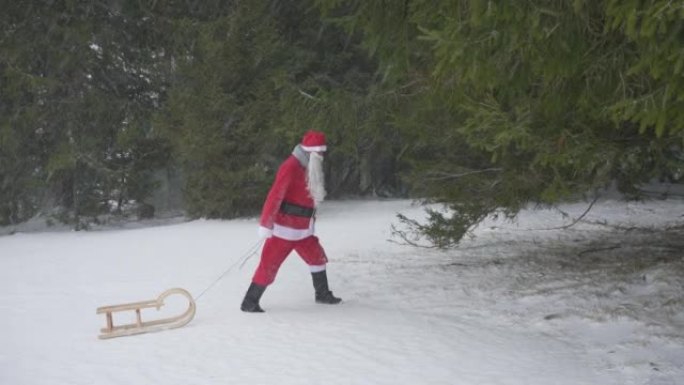打扮成圣诞老人的男人在树附近的森林里拉雪橇