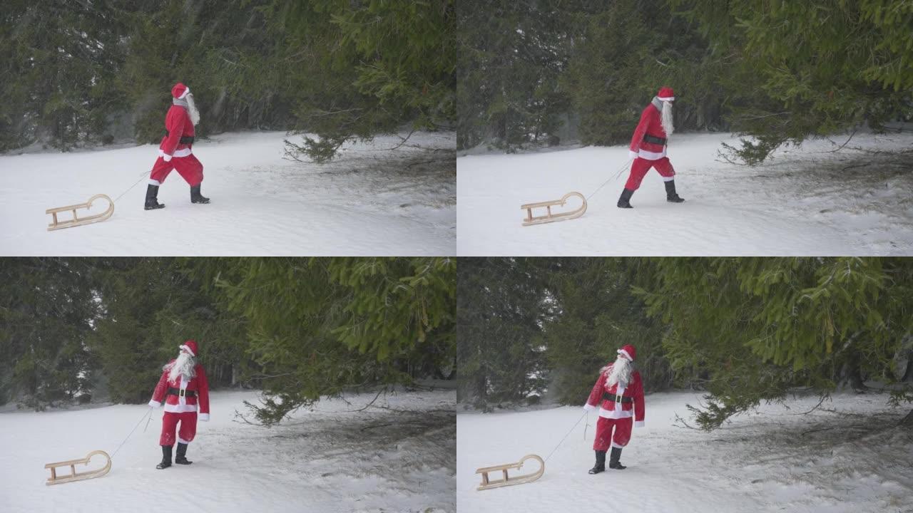 打扮成圣诞老人的男人在树附近的森林里拉雪橇
