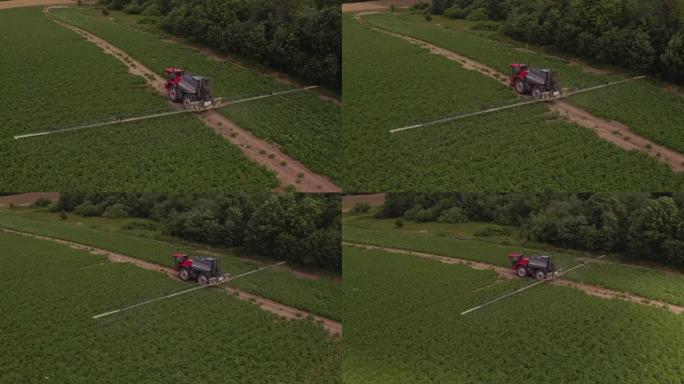 拖拉机在盛开的土豆地上移动。施肥。无人机的观点，