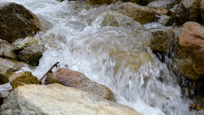 纯天然泉水 自然生态纯净 升格实拍 水