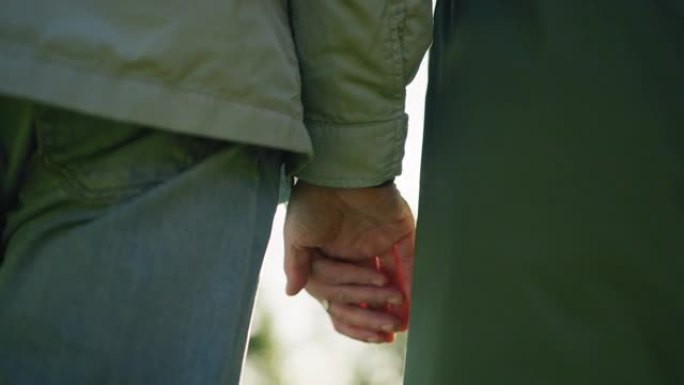 公园里爱快乐的老年夫妇。手握在一起
