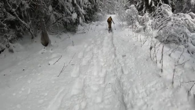 在白雪皑皑的森林中滑雪时的第一人称视角