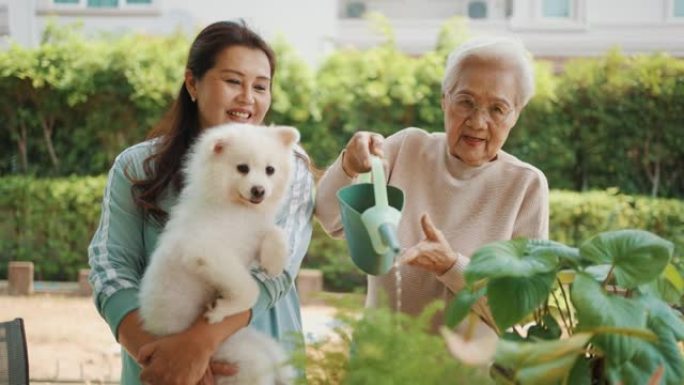 高级妇女和她的女儿照顾植物