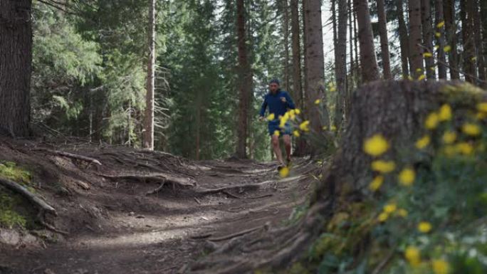 人在森林里奔跑活力越野孤独慢跑森林锻炼